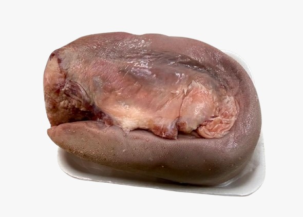 LENGUA